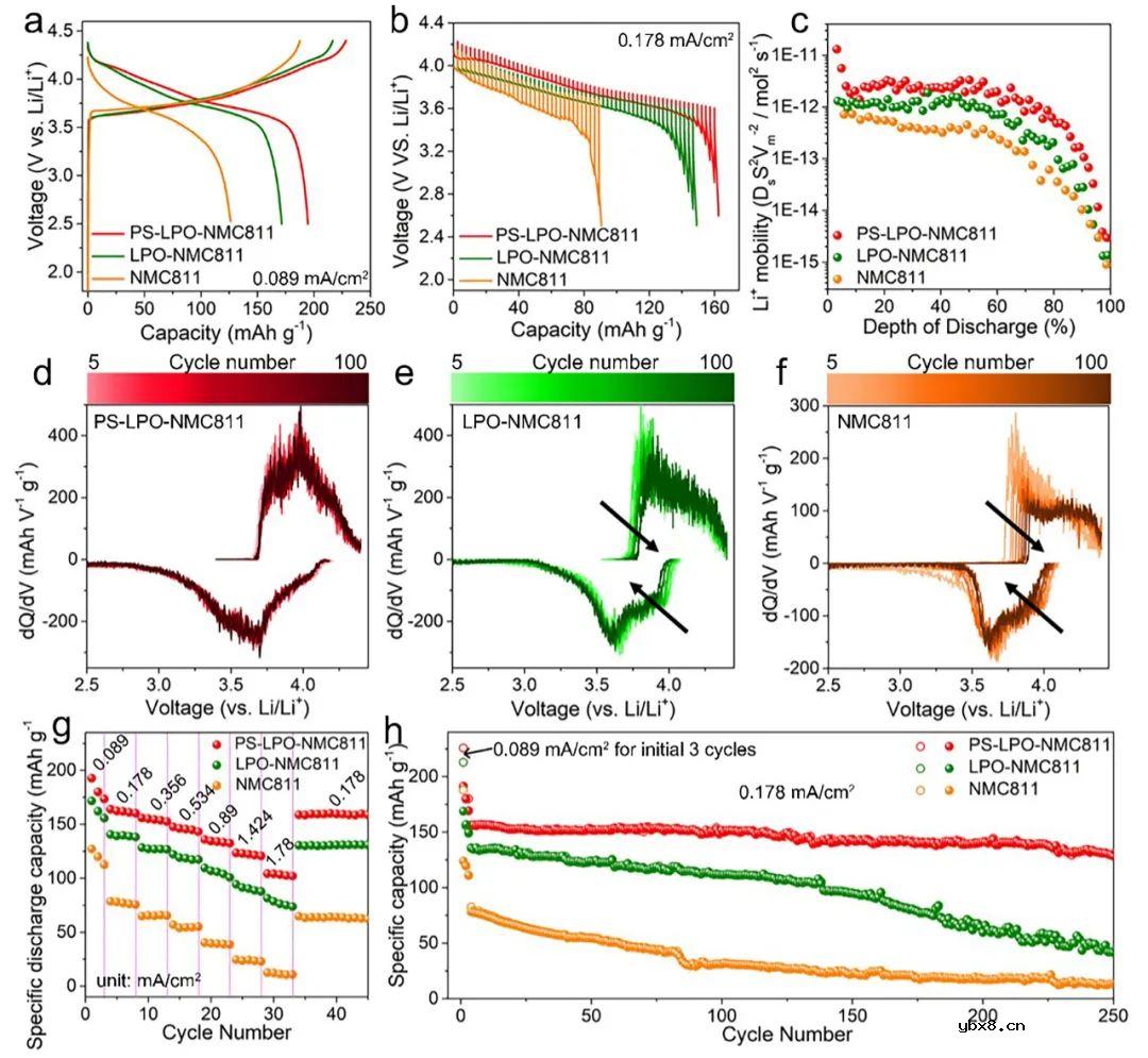 梯度包覆策略助力高性能全固态锂电池