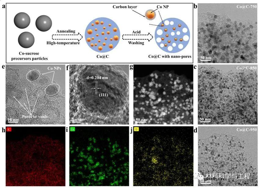 钴纳米颗粒与含氧官能团协同实现快速稳定储钾