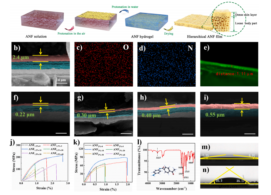 层次化高模量芳纶纳米纤维膜保护层实现高性能锂金属负极