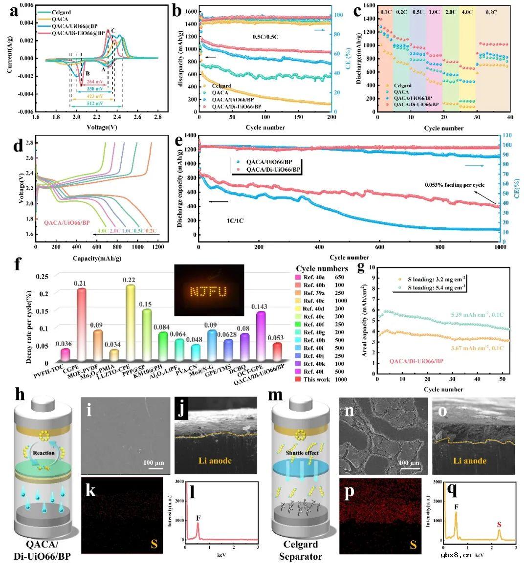 构建双功能非对称型纤维素凝胶电解质同时抑制穿梭效应和枝晶生长