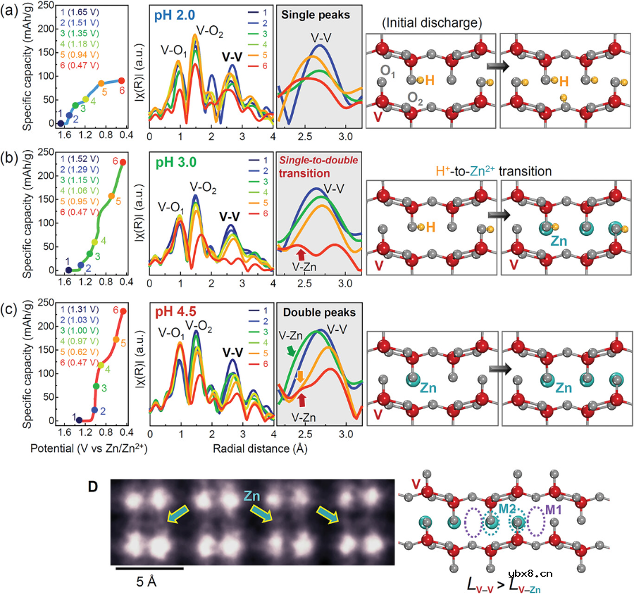 金属离子与质子:跟踪插入到水系电池阴极氧化物的电荷载流子