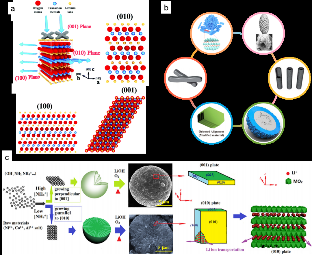 多晶高镍层状正极材料的微纳米结构设计策略