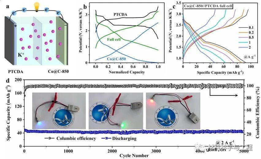 钴纳米颗粒与含氧官能团协同实现快速稳定储钾
