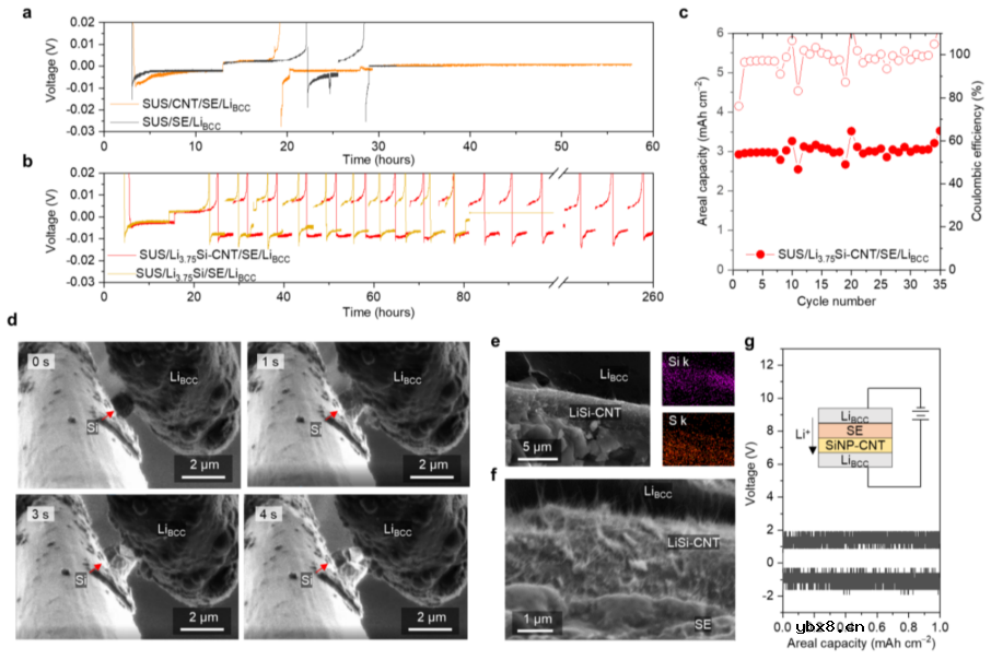 超薄硅化锂中间层助力高性能固态锂金属电池 超薄硅化锂中间层助力高性能固态锂金属电池