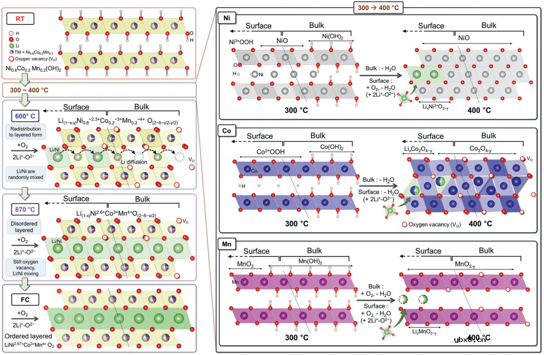 锂电正极煅烧过程中的固态反应异质性