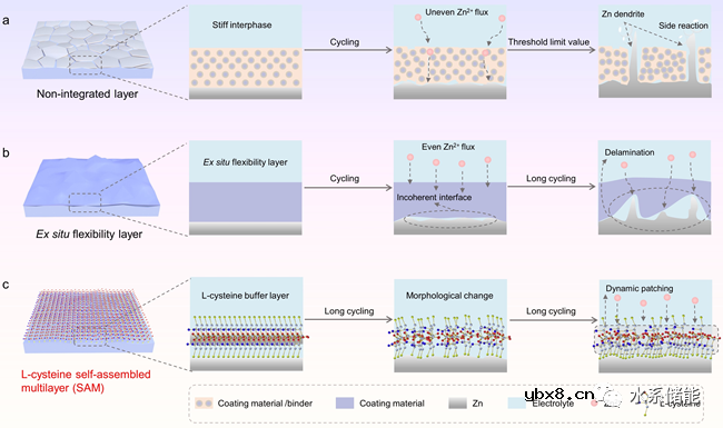 自组装多层缓冲界面实现长寿命水系锌离子电池