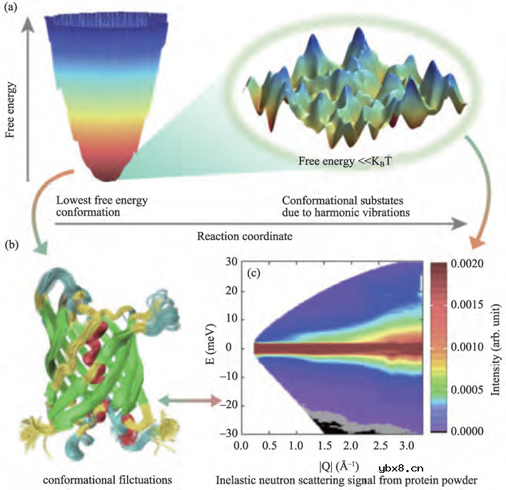 浅析非弹性中子散射谱仪的物理应用