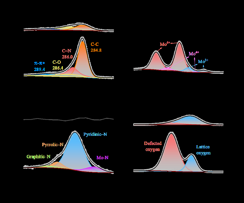 非晶/晶相异质结构MoO2@煤矸石电催化剂助力锂氧气电池