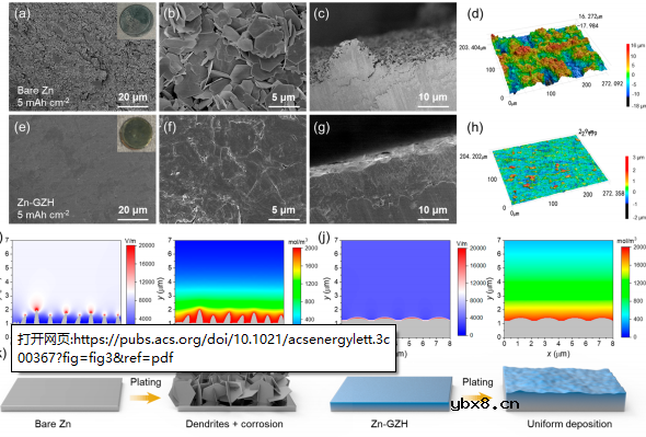 锌金属负极的介质—金属双梯度组合设计 锌金属负极的介质—金属双梯度组合设计
