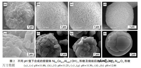 锂离子电池三元前驱体材料的研究现状及存在的问题 锂离子电池三元前驱体材料的研究现状及存在的问题