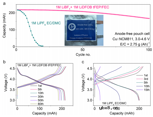 调控氟取代羧酸酯助力无负极电池 调控氟取代羧酸酯助力无负极电池
