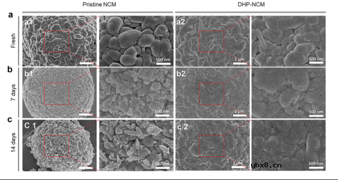 富镍层状阴极涂层材料提高电池性能 富镍层状阴极涂层材料提高电池性能