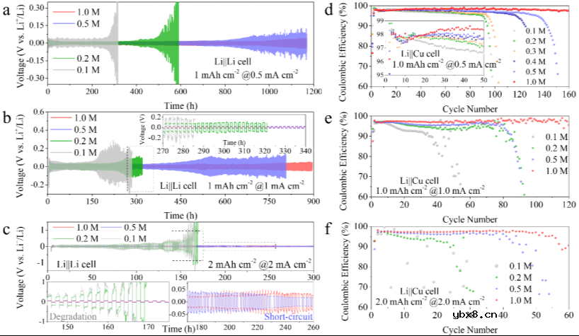 低浓度电解液对锂金属负极的影响及其相关机理