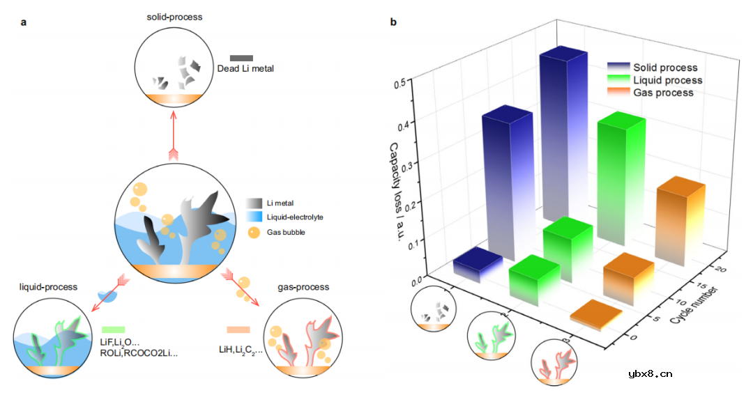 锂金属电池中非活性锂的气体诱导形成