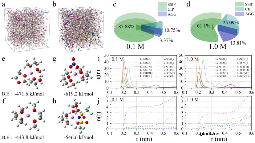 低浓度电解液对锂金属负极的影响及其相关机理 低浓度电解液对锂金属负极的影响及其相关机理