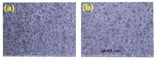 电极压实密度对电极电极结构和电化学性能的影响研究