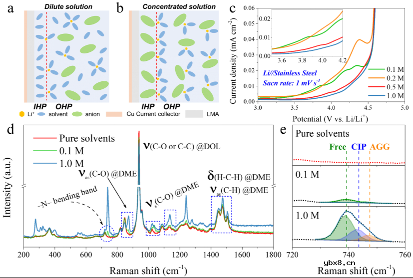 低浓度电解液对锂金属负极的影响及其相关机理 低浓度电解液对锂金属负极的影响及其相关机理