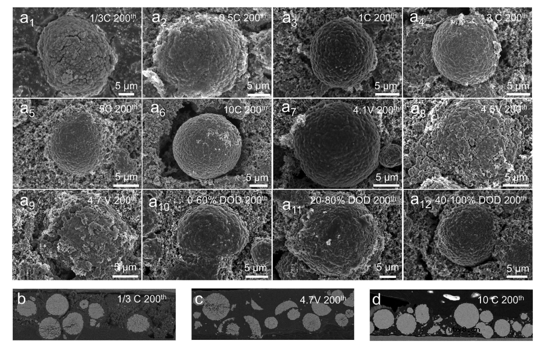 层状LiNi0.8Co0.1Mn0.1O2的容量损失和结构退化之间的关系 层状LiNi0.8Co0.1Mn0.1O2的容量损失和结构退化之间的关系