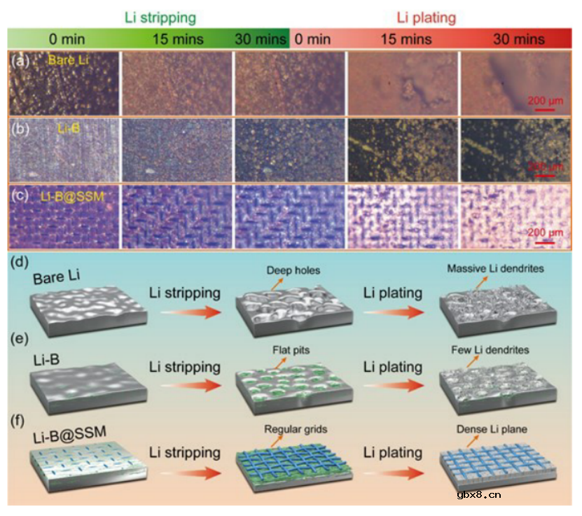 亲锂-疏锂双骨架助力锂金属电池 亲锂-疏锂双骨架助力锂金属电池