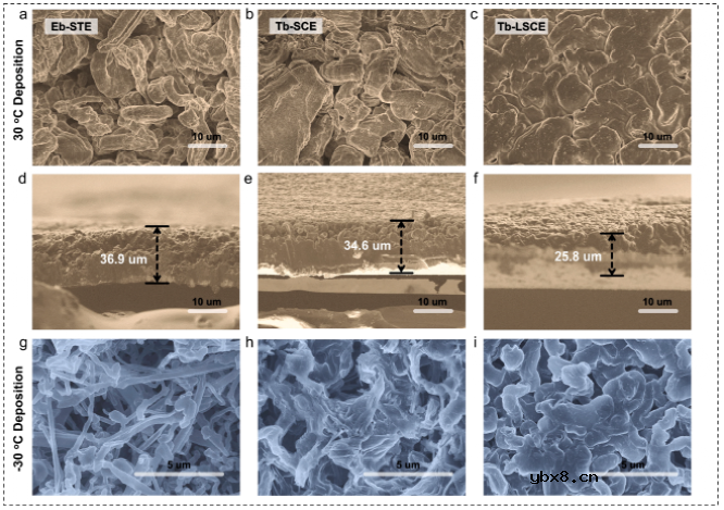 新型四氢呋喃局部饱和电解液激活超低温锂金属电池 新型四氢呋喃局部饱和电解液激活超低温锂金属电池