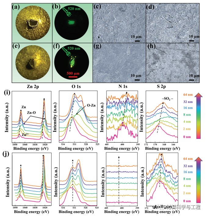 同时控制锌形核热力学与析氢过电位实现稳定界面 同时控制锌形核热力学与析氢过电位实现稳定界面