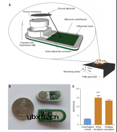 可植入血糖驱动代谢燃料电池用于血糖水平的持续监测和调控