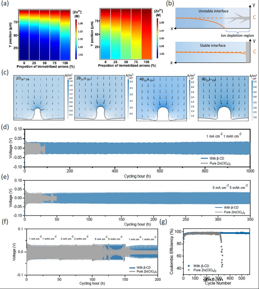 阴离子实现无枝晶长循环锌离子电池的设计 阴离子实现无枝晶长循环锌离子电池的设计