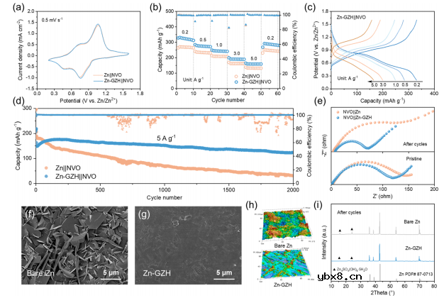 锌金属负极的介质—金属双梯度组合设计 锌金属负极的介质—金属双梯度组合设计