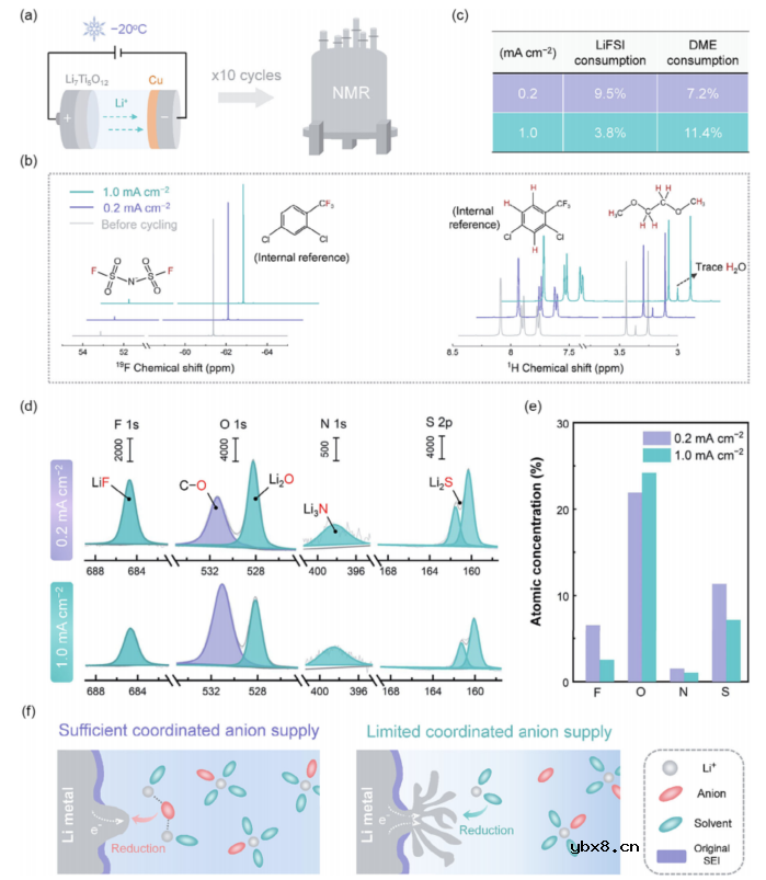 打开稳定低温锂金属负极的极化和可逆性限制