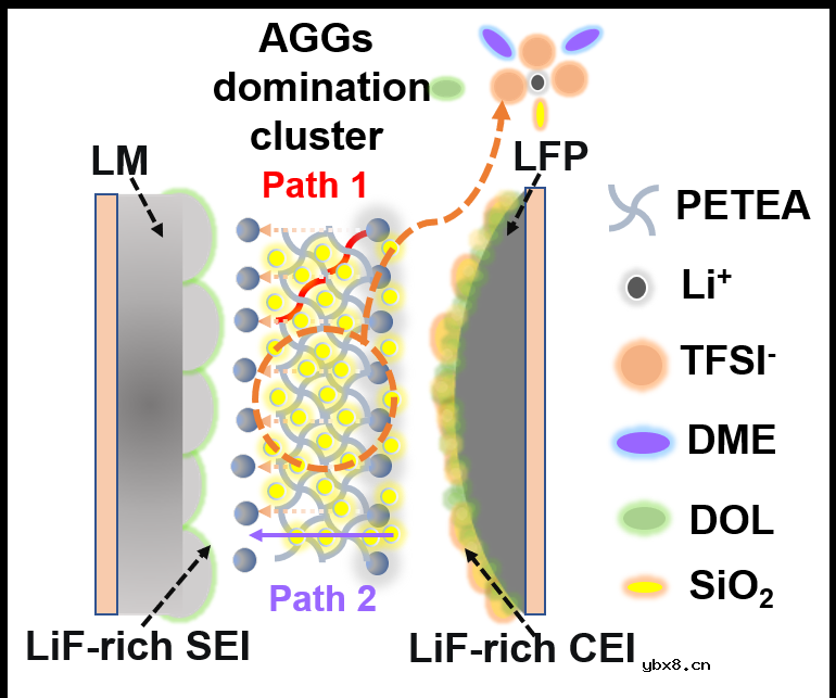 复合凝胶电解质中无机填料助力锂金属电池富无机物SEI的形成