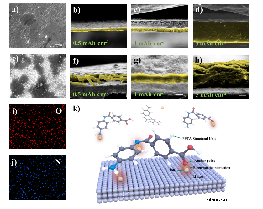 层次化高模量芳纶纳米纤维膜保护层实现高性能锂金属负极