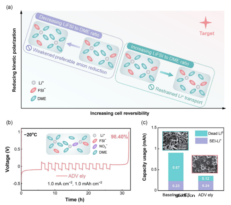 打开稳定低温锂金属负极的极化和可逆性限制