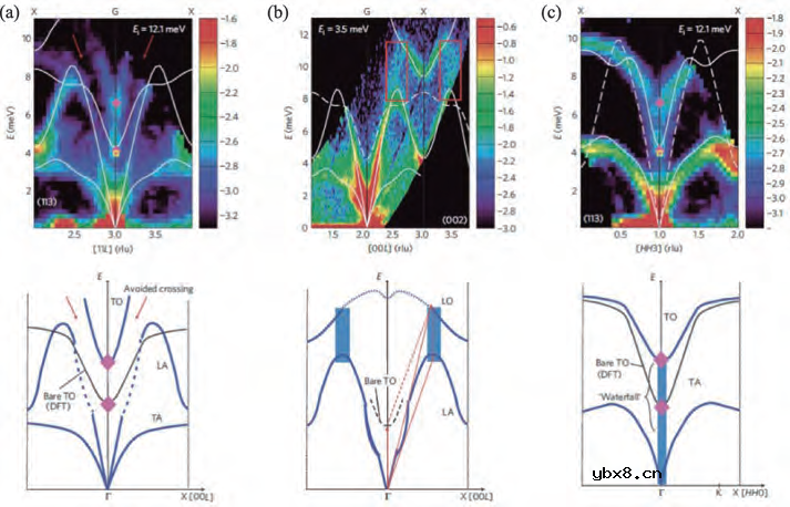 浅析非弹性中子散射谱仪的物理应用