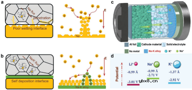 钠-钾电解质界面相实现室温/0°C固态钠金属电池研究