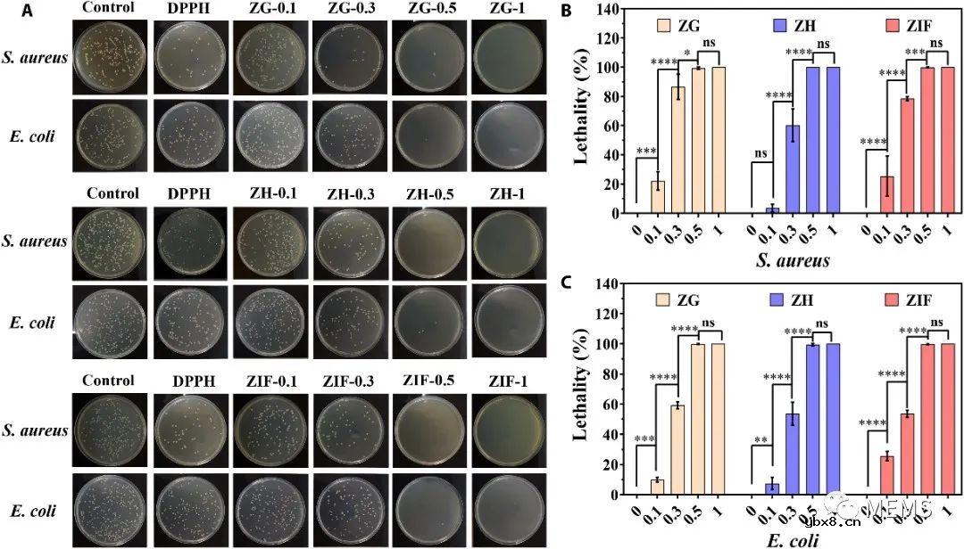 用于糖尿病创面的防疤痕愈合的自供电酶联微针贴片