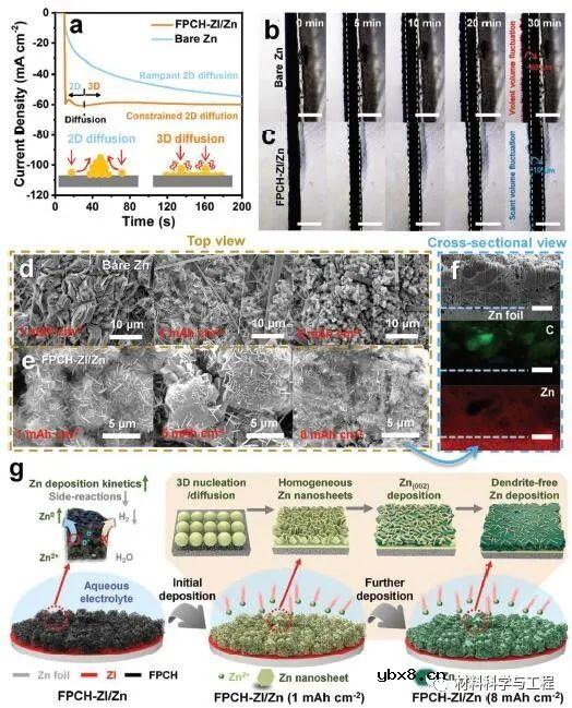 多功能界面锌主体的协同设计助力实用锌金属电池