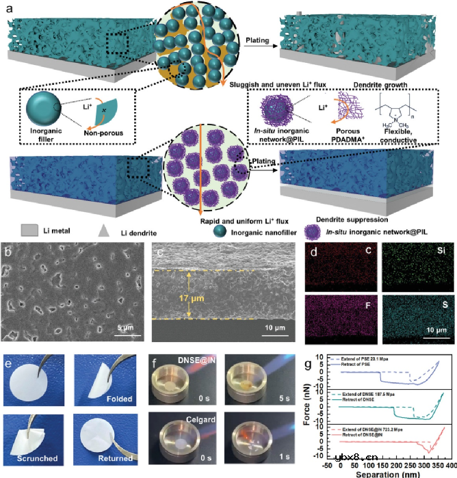 双聚合物复合无机物电解质用于富Li金属电池