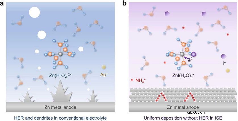 卤化Zn2+溶剂化结构实现高可逆锌金属电池