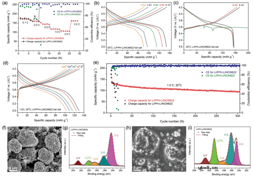 氟化石墨烯增强聚合物电解质用于固态锂金属电池