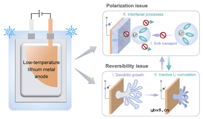 打开稳定低温锂金属负极的极化和可逆性限制