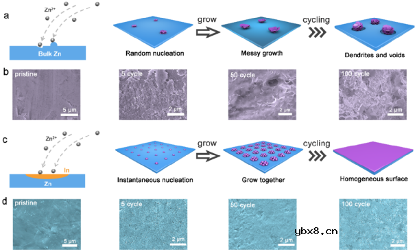 通过熔炼-轧制技术制备的含有微量铟元素的锌铟体相合金