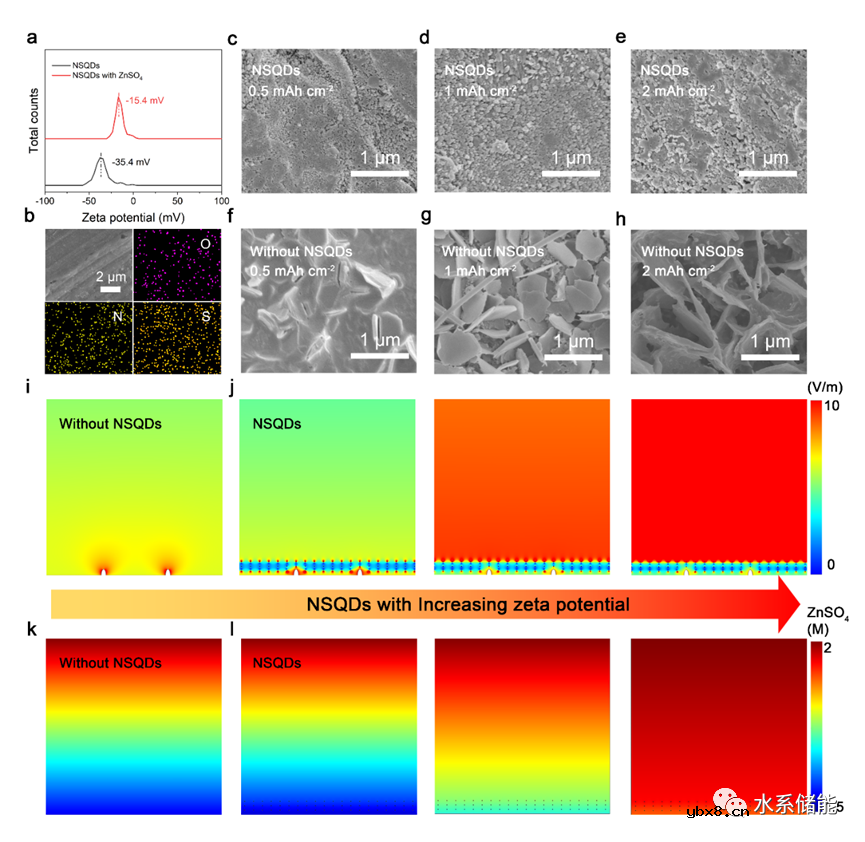 通过设计负电性量子点添加剂降低界面浓度梯度实现无枝晶锌负极