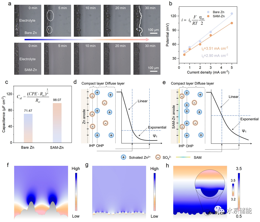 自组装多层缓冲界面实现长寿命水系锌离子电池