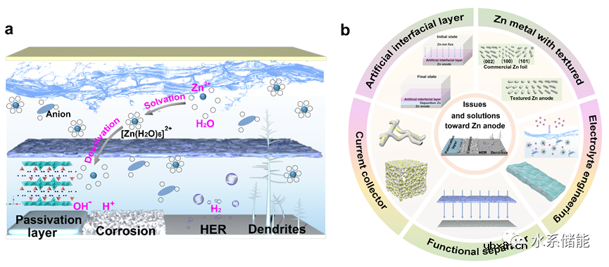 优选(002)晶面的锌负极对实现平面无枝晶锌沉积的重要性