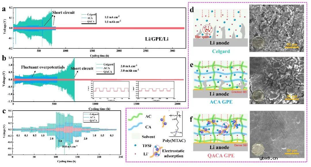 构建双功能非对称型纤维素凝胶电解质同时抑制穿梭效应和枝晶生长