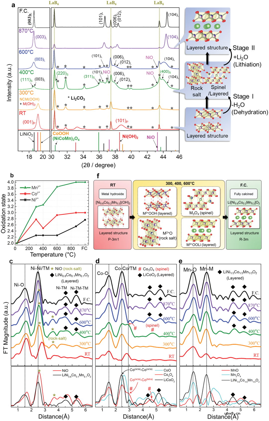 锂电正极煅烧过程中的固态反应异质性