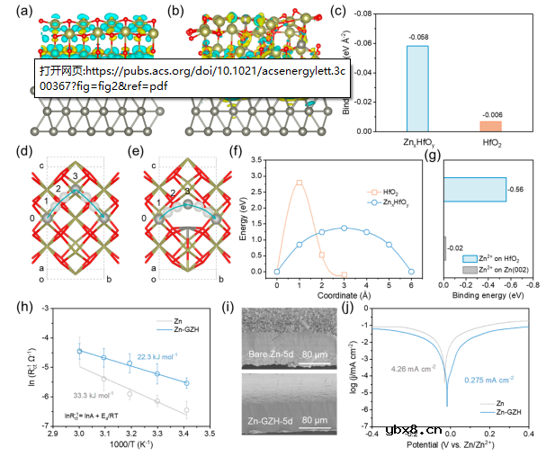 锌金属负极的介质—金属双梯度组合设计 锌金属负极的介质—金属双梯度组合设计