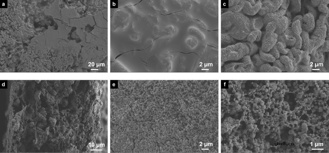 一种优化软包Li-S电池循环稳定性的新型正极结构