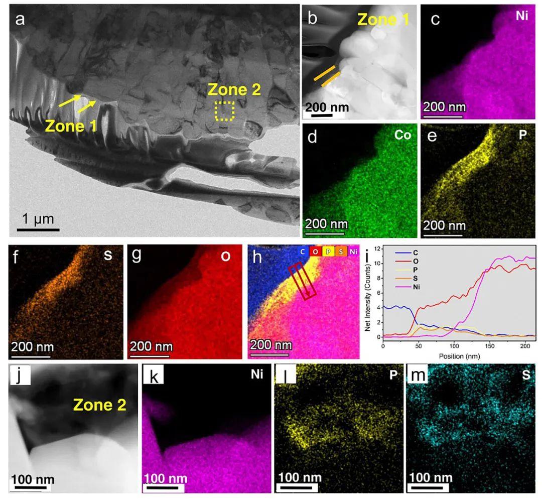 梯度包覆策略助力高性能全固态锂电池