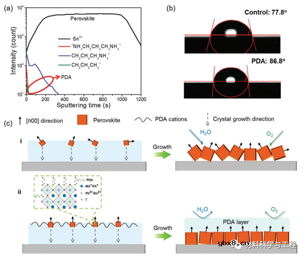 高效太阳能电池的配体锚定诱导定向晶体生长